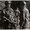 mg 436